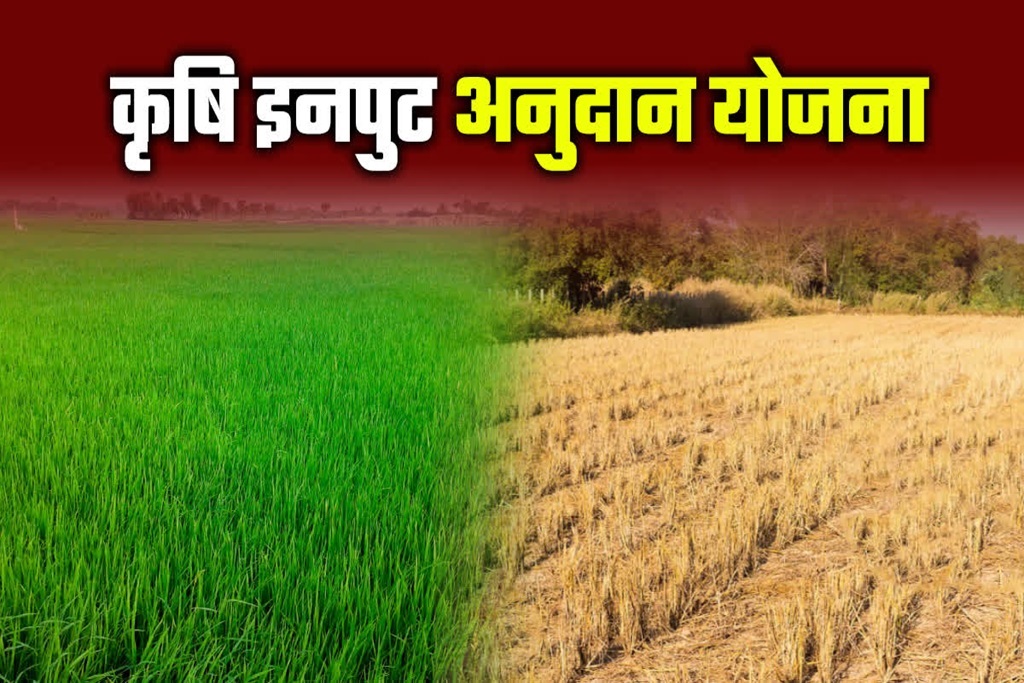 Bihar Krishi Input Anudan Yojana